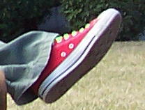 102_0731.jpg